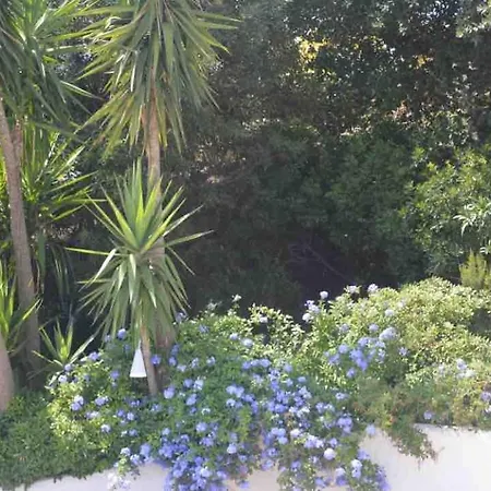 Вилла Quiet 4 Bedrooms Full Sea View Heated Pool Сент-Максим